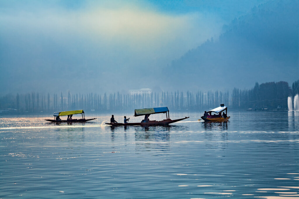 Shikara boats on Dal lake in Srinagar