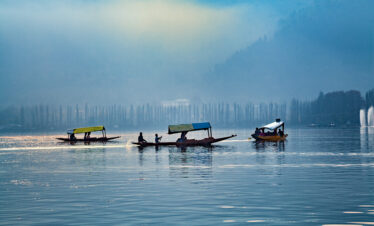Shikara boats on Dal lake in Srinagar