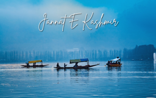 Kashmir